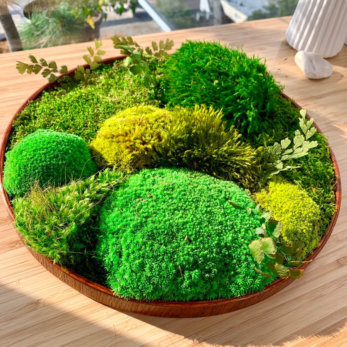Preserved Moss 30 sq.ft. table moss centerpieces moss decor floral moss  wall