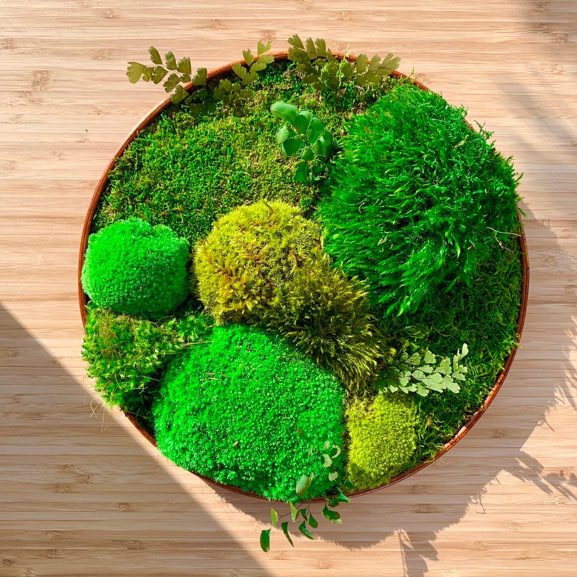Pssopp Decorative Moss,Table Skirts Preserved Decorative Moss Durable  Preserved Moss Green DIY Kit for Home Decorations Model Making Gardenning  Art