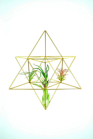 Merkaba himmeli; Air plant holder; Geometric decoration; Mobile Star of David; Christmas decor de Noel; Tree topper
