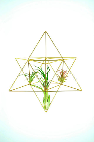 himmeli air plant holder Merkaba himmeli; Air plant holder; Geometric decoration; Mobile Star o – ContemplativeObjects