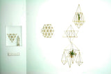 Merkaba himmeli; Air plant holder; Geometric decoration; Mobile Star of David; Christmas decor de Noel; Tree topper