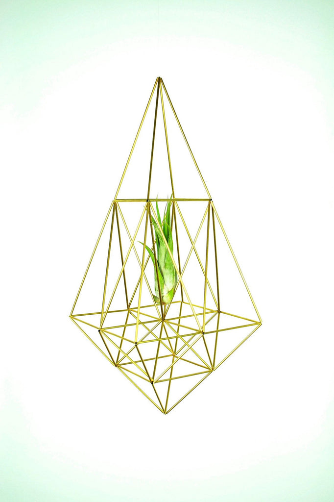 himmeli air plant Air plant holder; Boho wedding decor; Nordic himmeli mobile; Scandinav – ContemplativeObjects