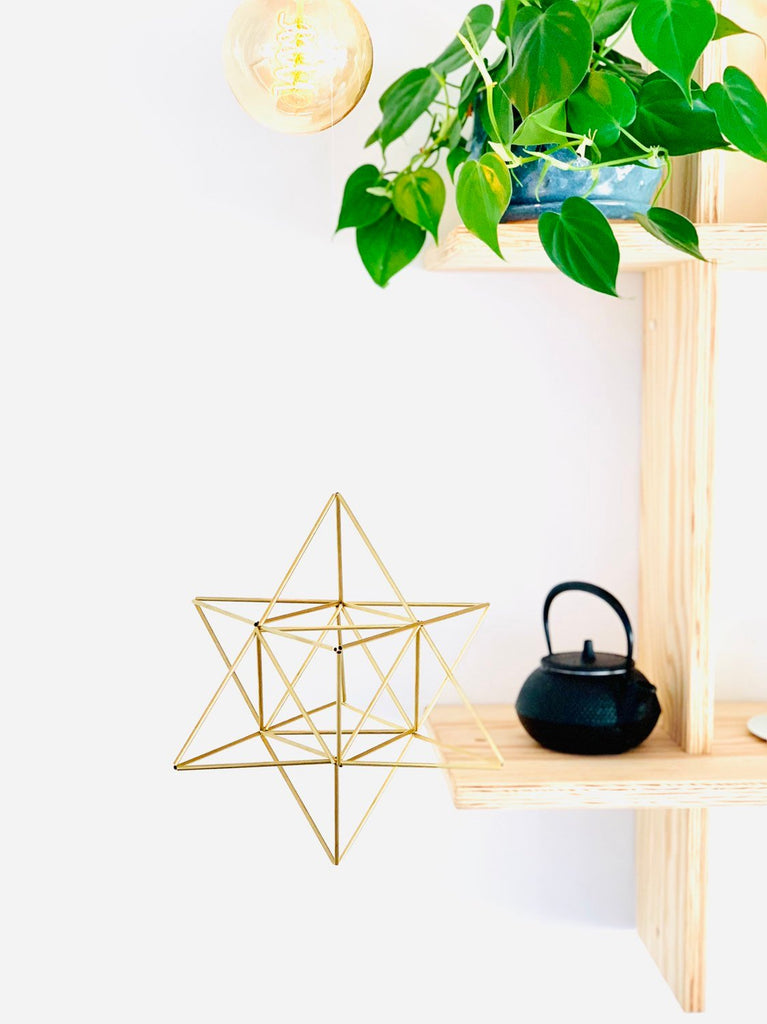 himmeli air plant Merkaba himmeli; Air plant holder; Geometric decoration; Mobile Star o – ContemplativeObjects