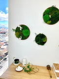 set of 3 / Vertical Zen Garden / Boho Wall Art / Preserved Moss Wall Art