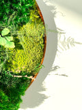 Moss wall art; Office moss wall; Evergreen vertical garden