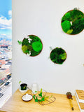 Moss wall art; Office moss wall; Evergreen vertical garden