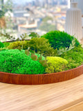 Moss table centerpiece; Evergreen wall hanging; Round moss art