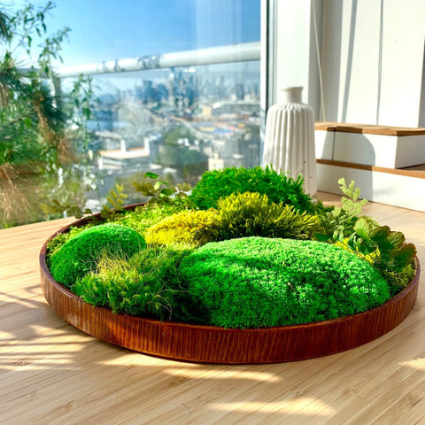 Moss table centerpiece; Evergreen wall hanging; Round moss art