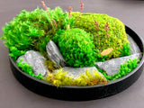 Moss Wall Art / Table Centerpiece with Pressed Flowers and Slate Rock