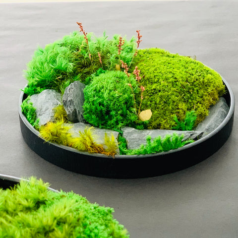 Moss Wall Art / Table Centerpiece with Pressed Flowers and Slate Rock