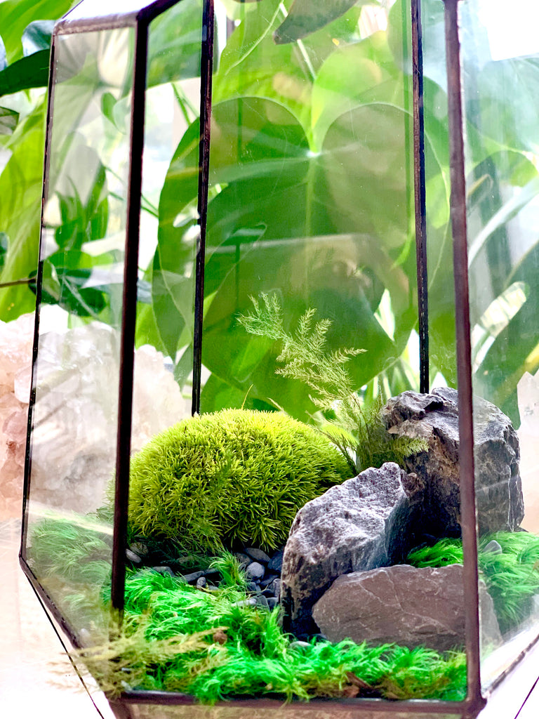 Sunbathers: Premium Preserved Moss Terrarium With Optional