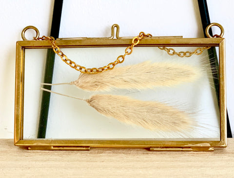 Preserved Bunny Tail in Brass Frame